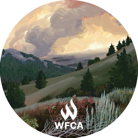 Health Effects Of Wildfire Smoke Wfca