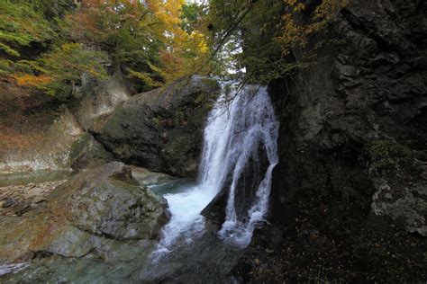 Free Images Tree Nature Rock Waterfall Wilderness River