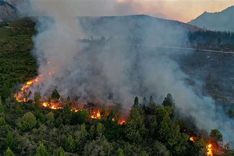 Incendios En El Bolsón 8 500 Hectáreas Bajo Fuego Y Crisis En Las Zonas Rurales Biodiversidad