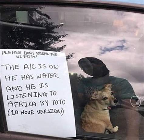 Please Don T Break The Window He Is Listening To Africa By Toto Meme