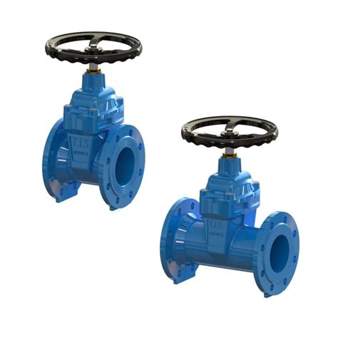 Resilient Seated Gate Valves T I S Service