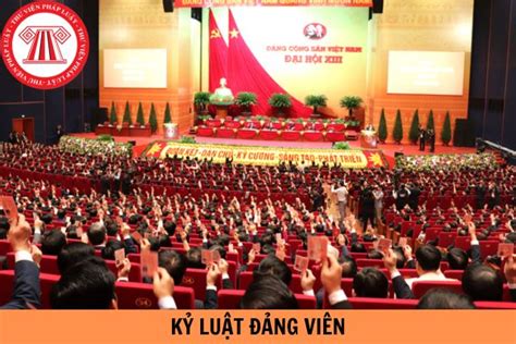 Mẫu Quyết định Thi Hành Kỷ Luật Đảng Viên Mới Nhất Năm 2024