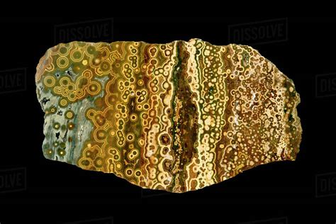 Orbicular Jasper Ocean Jasper From Madagascar A Variety Of Jasper