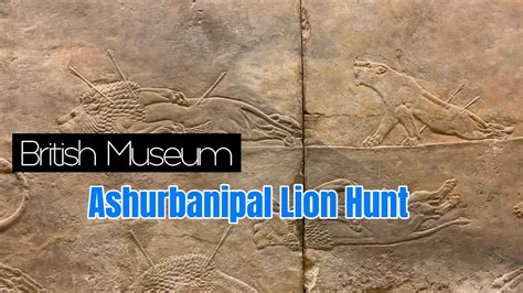 British Museum Guide — Ashurbanipal Lion Hunt Youtube