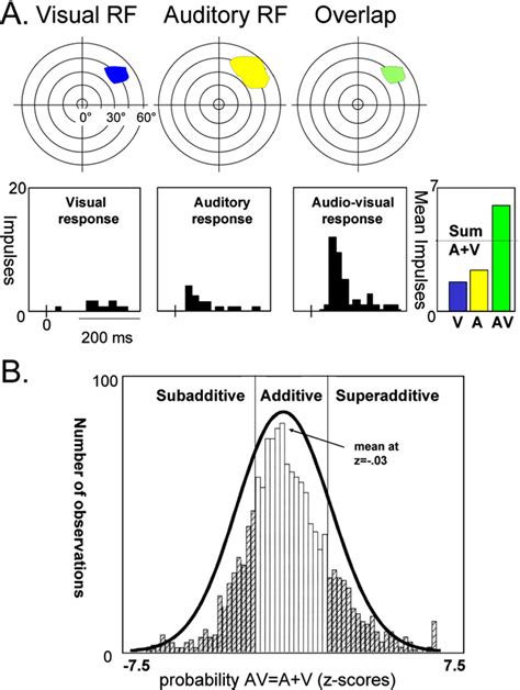 Figure 1 From Review Multisensory Interplay Reveals Crossmodal