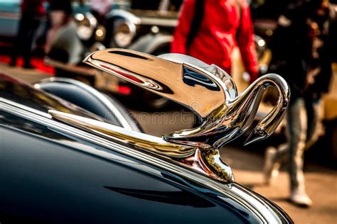 Packard Swan The Most Iconic Hood Ornaments Of All Time Vintage Car Delhi India Editorial