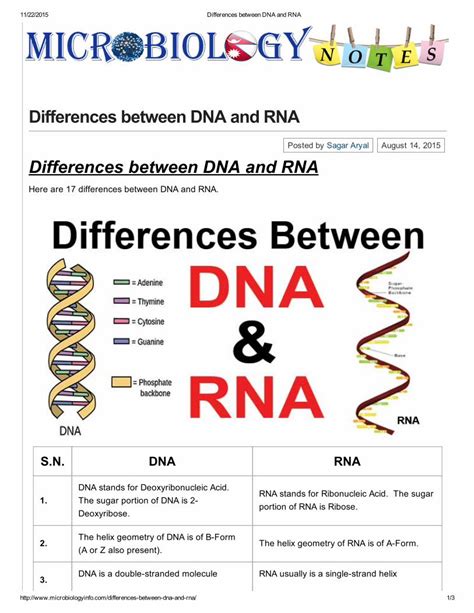 Pdf Differences Between Dna And Rna Dokumen Tips