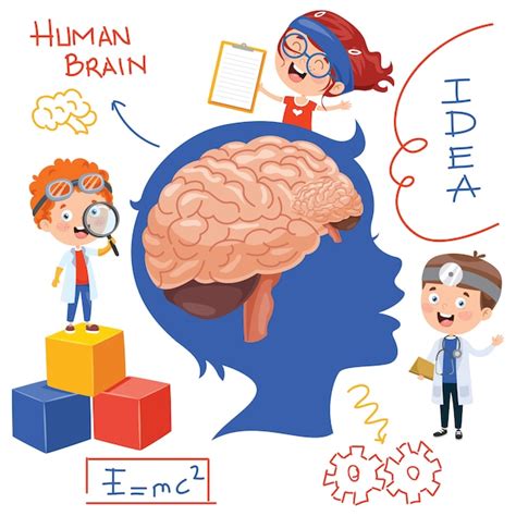 Imágenes De Dibujos Animados Del Cerebro Para Niños