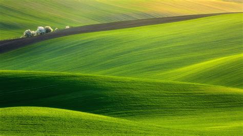 X Hill Trees Nature Landscape Photography Field Green Wallpaper