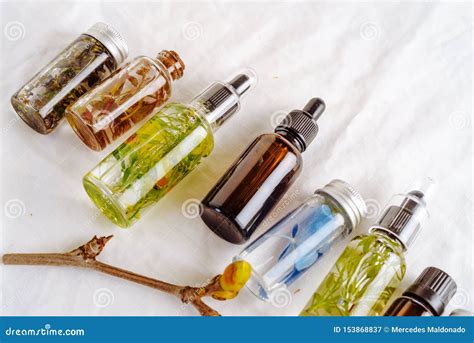 Transparent Bottles Of Essential Oil With Fresh Herbs Stock Image