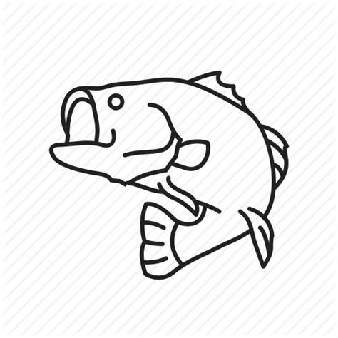 Striped Bass Drawing at GetDrawings | Free download