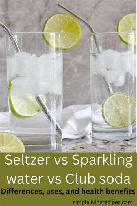 What Is The Difference Between Seltzer Water And Club Soda At Donna