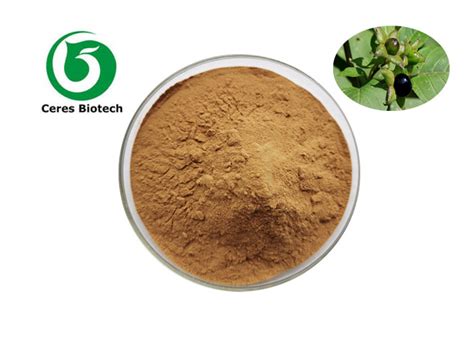 15 Belladonna Leaf Natural Herbal Extract Powder For Medical