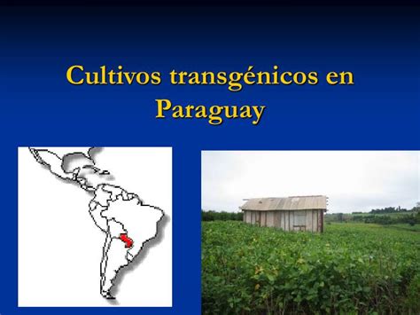 PPT Cultivos transgénicos en Paraguay PowerPoint Presentation free