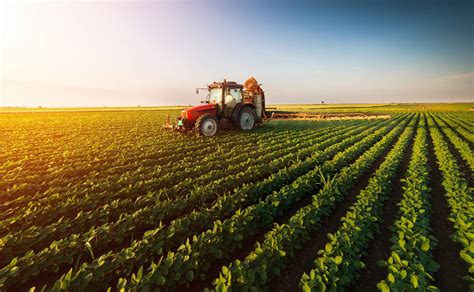 Agricultura No Brasil Hist Ria E As Tend Ncias Para O Futuro