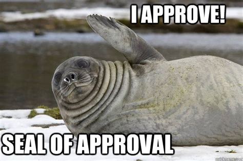 Seal Of Approval Meme Cute Wild Animals Silly Animals Cute Seals