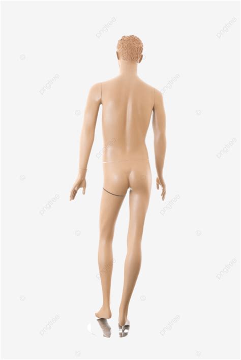 Male Mannequinisolated Imitation Naked Store White PNG Transparent