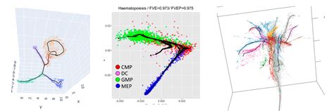 Complex And Simple Models Of Multidimensional Data From Graphs To