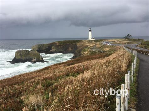 10 BEST Things to Do at Yaquina Head Lighthouse