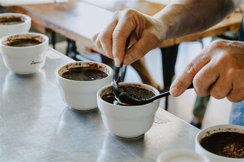 Dove Bere Uno Specialty Coffee A Torino Le Strade