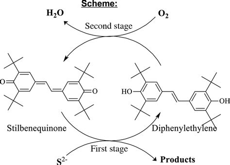 SCHEME 1 The oxidation of sulfide sulfur in the presence of a... | Download Scientific Diagram