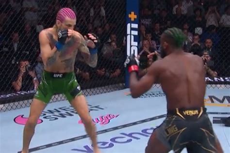 Video Sean O Malley Stops Aljamain Sterling In Spectacular Fashion At