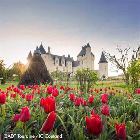 gardens loire valley8 | Loire Secrets Travel