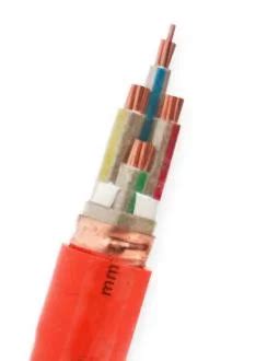 600 1000V Armoured Cable XLPE PVC Swa 4c E 3c E Circular Cable Orange