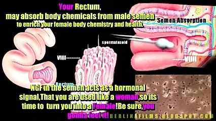 Berlinafilms Short Shemale Porn XHamster