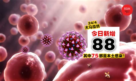 大马单日新增88宗确诊病例⚡75宗社区感染13宗境外输入！121人出院，1死