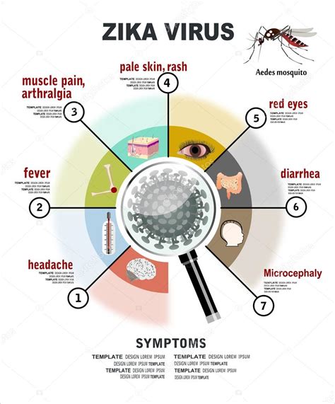 Síntomas del virus del Zika vector, gráfico vectorial © mitay20 imagen #104967146