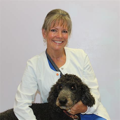 About Animal Doctor Westside Veterinary Clinic