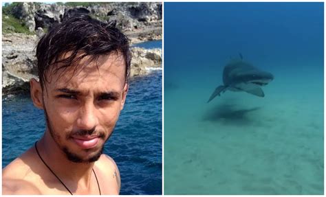 Mayabeque Joven Pescador Fallece Tras El Ataque De Un Tiburón Toro