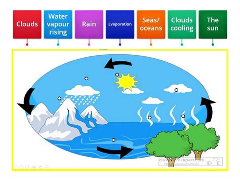 The Water cycle- Label the diagram - Labelled diagram