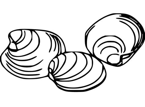 Clam Shell Coloring Page