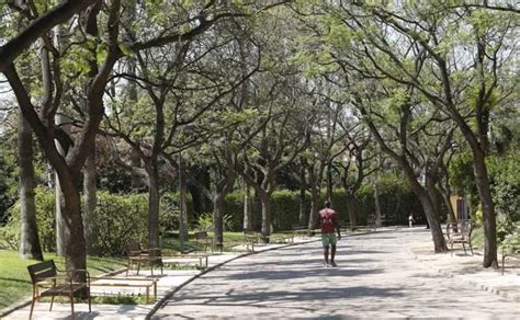 Parque De Benicalap Deporte Agua Y Naturaleza En Pleno Barrio Las