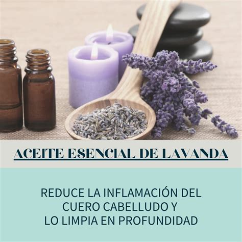 Descubre Los Beneficios De La Lavanda Para El Cuidado Del Cabello