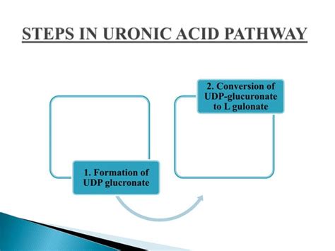 Uronic Acid Pathway Ppt