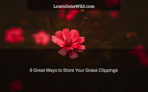 6 Great Ways To Store Your Grass Clippings Lawn Gone Wild