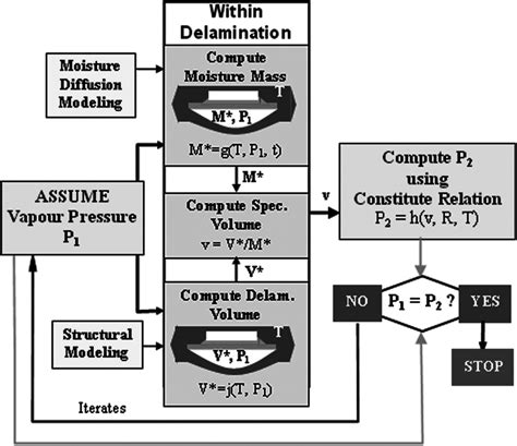 Schematics Of Kitano S Methodology Download Scientific Diagram