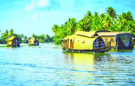 Gods Own Country Kerala Tour Package Services 7 Nights 8 Days At Rs