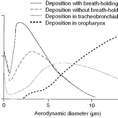 Fractional Particle Deposition To The Lung Is Critically Dependent On Download Scientific