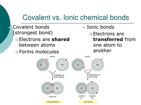 Ppt The Chemistry Of Life Powerpoint Presentation Free Download