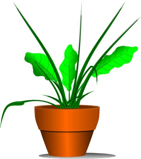 Free Potted Plant Cliparts Download Free Potted Plant Cliparts Png