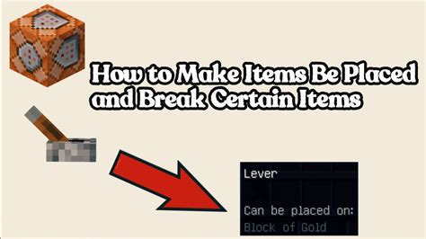 Minecraft Tutorial How To Make Items Be Placed And Destroy Certain