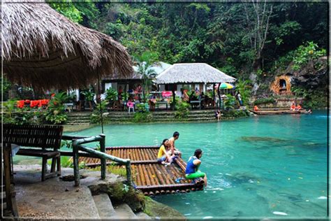 Kawasan Falls Pescador Island In Cebu Moalboal Sardine Run