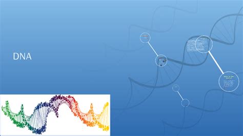 Dna By On Prezi