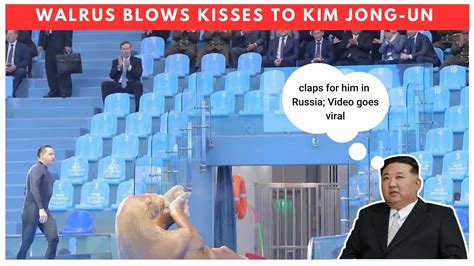 Walrus Blows Kisses To Kim Jong Un Claps For Him In Russia Video Goes