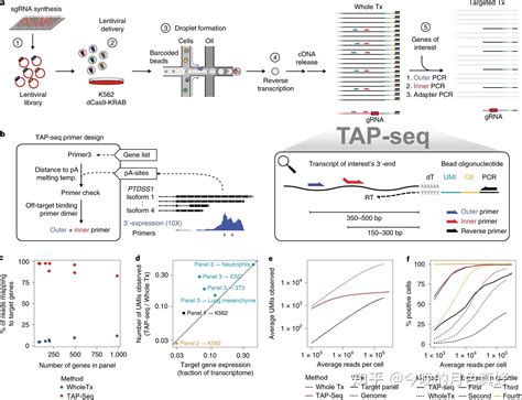 Targeted Perturb Seq Enables Genome Scale Genetic Screens In Single