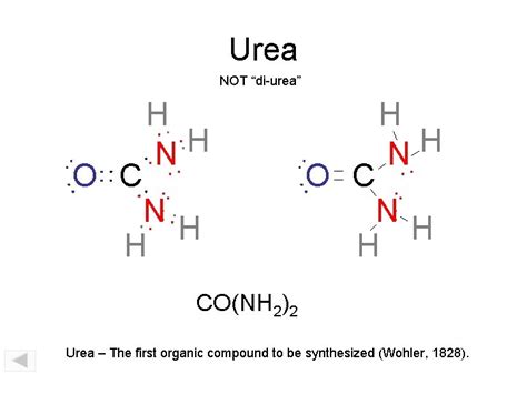 Molecular Models Activity Carbon Tetrachloride Ammonia Methane Hydrogen